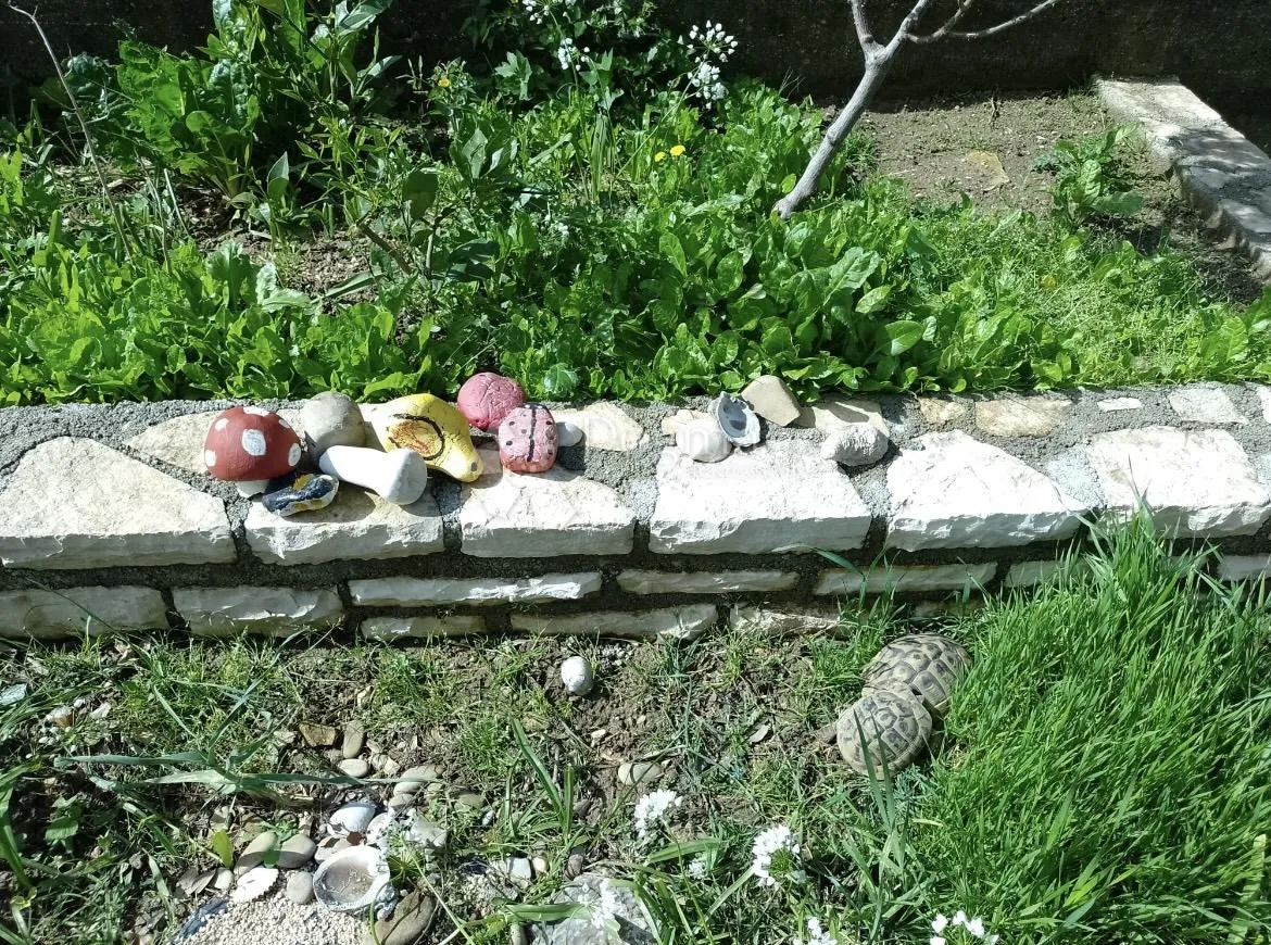apartmanska kuća - slika 23