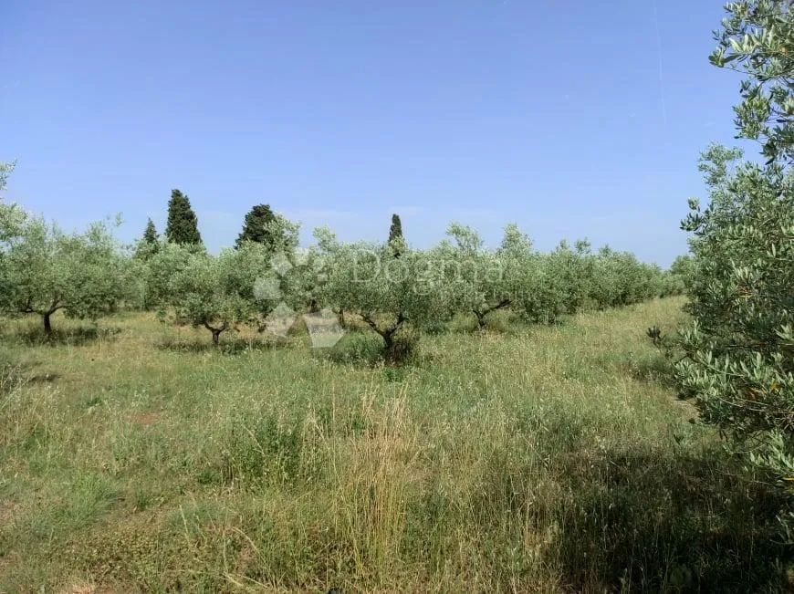 prekrasna stancija u okolici pule, s 10000 m² urbaniziranog zemljišta - slika 49