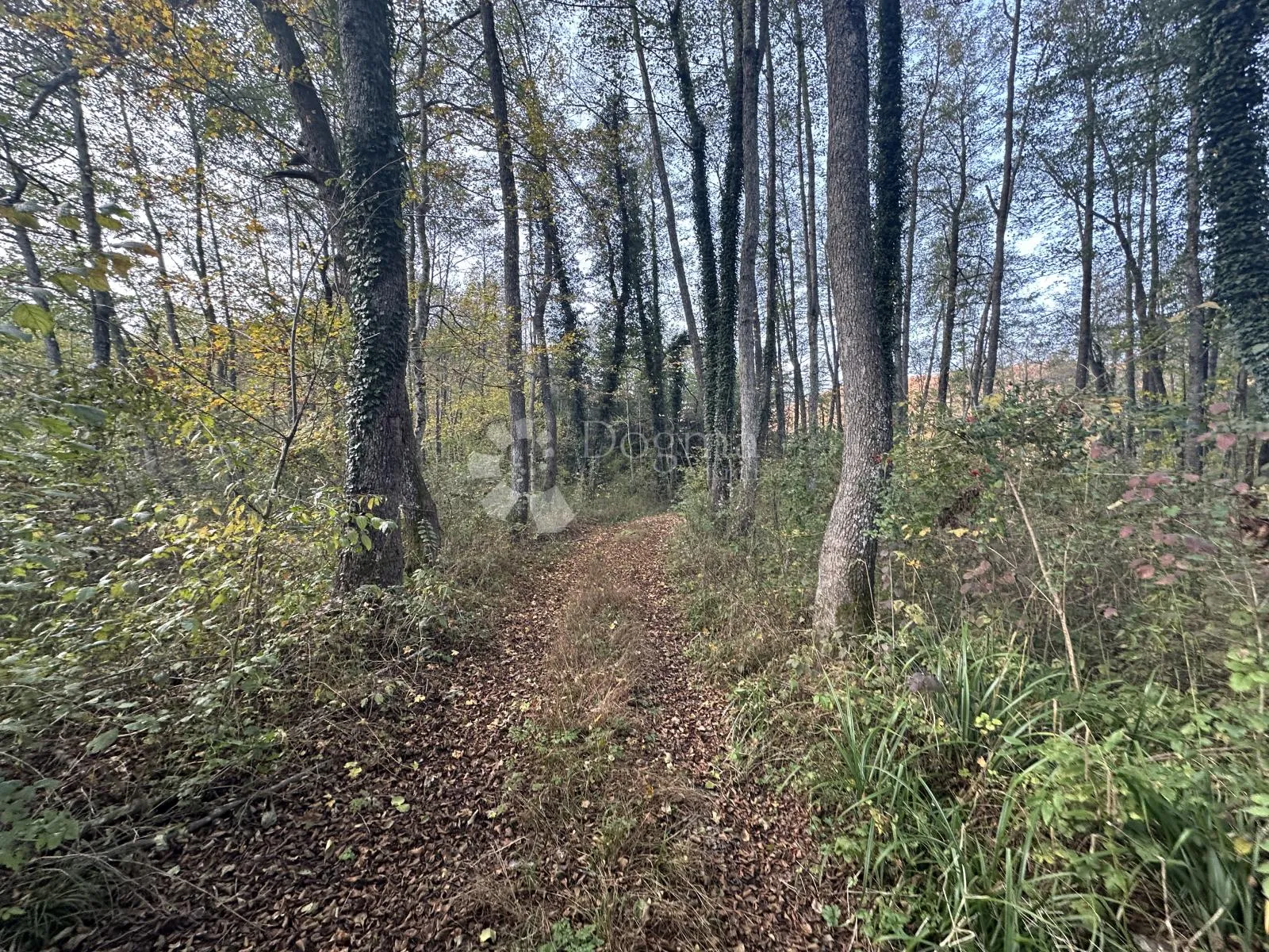 brušane 7300 m2 - turistička namjena - slika 7