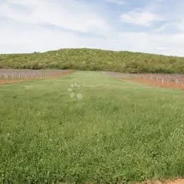 Flengi, Vrsar - poljoprivredno zemljište 8440m2