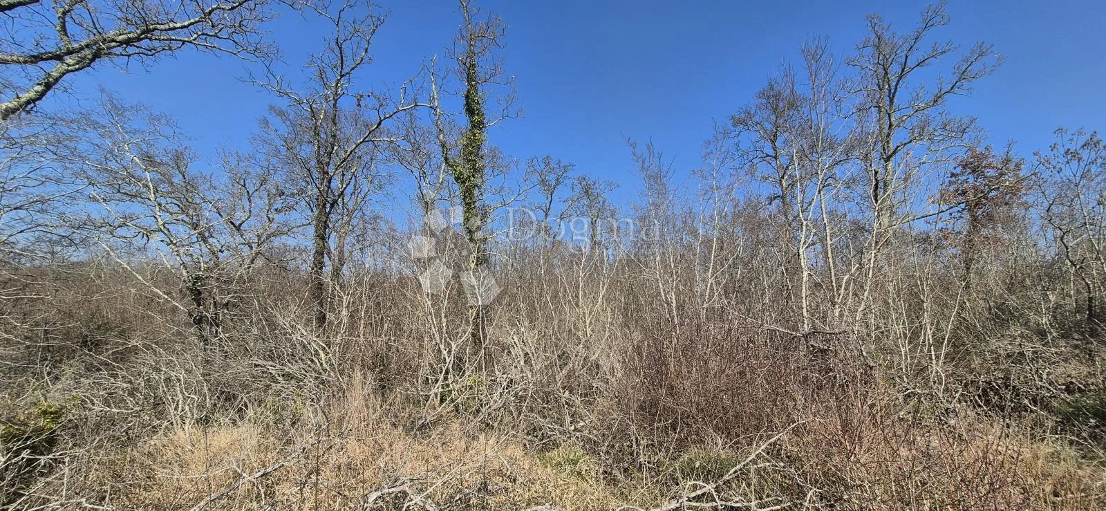 šumska zemljište i ostaci starog vinograda skriveni od pogleda na 7806 m2 - slika 2