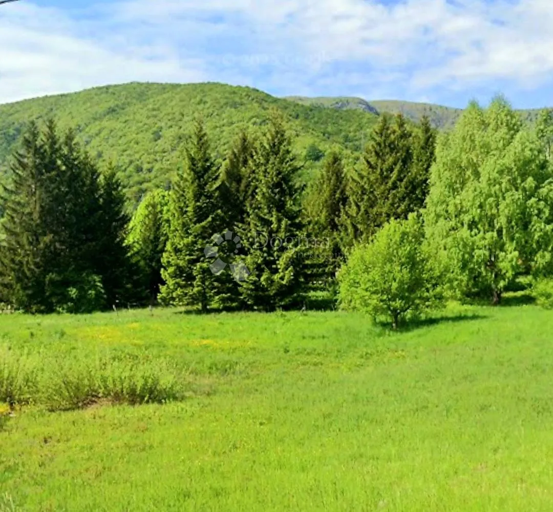 šuma i livade u brlogu kod otočca - slika 1