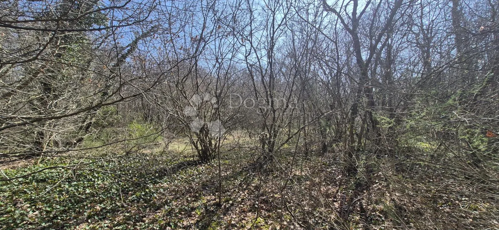 poljoprivredno zemljište površine 23953 m2 sa ogromnim potencijalom - slika 13