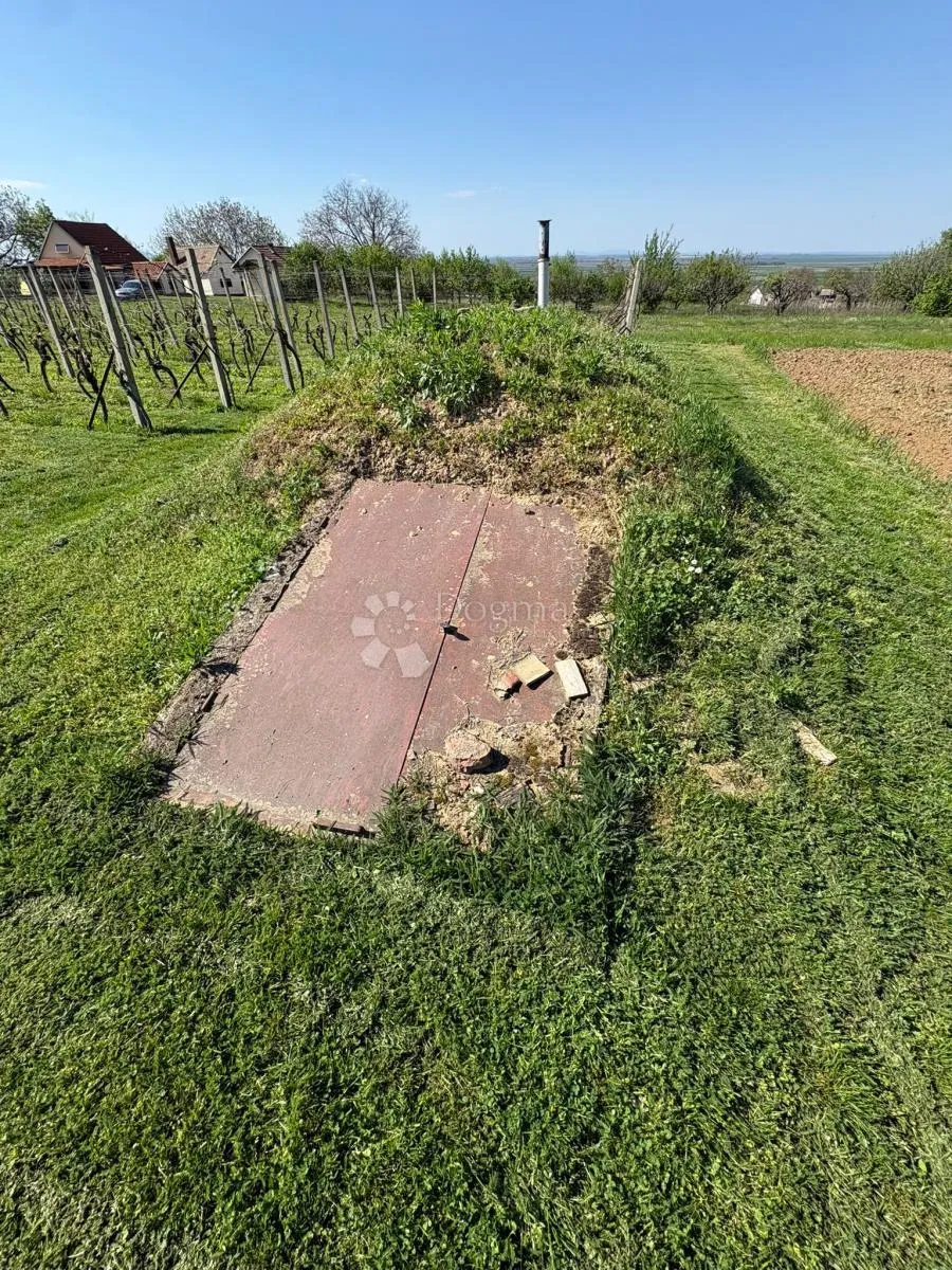 ekskluzivna vikendica s vinogradom - slika 16