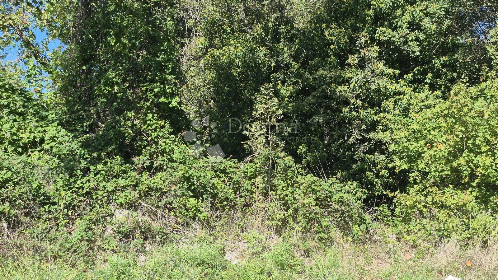 prodaje se poljoprivredno zemljište površine 1636 m2 u cukrićima - slika 11