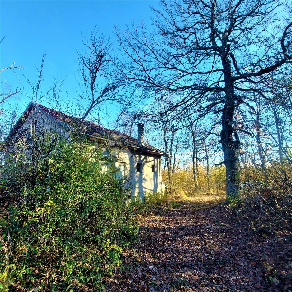 SKRIVENA OAZA MIRA- idilična kuća na osami okružena prirodom - Donji Štrbci, Donji Lapac