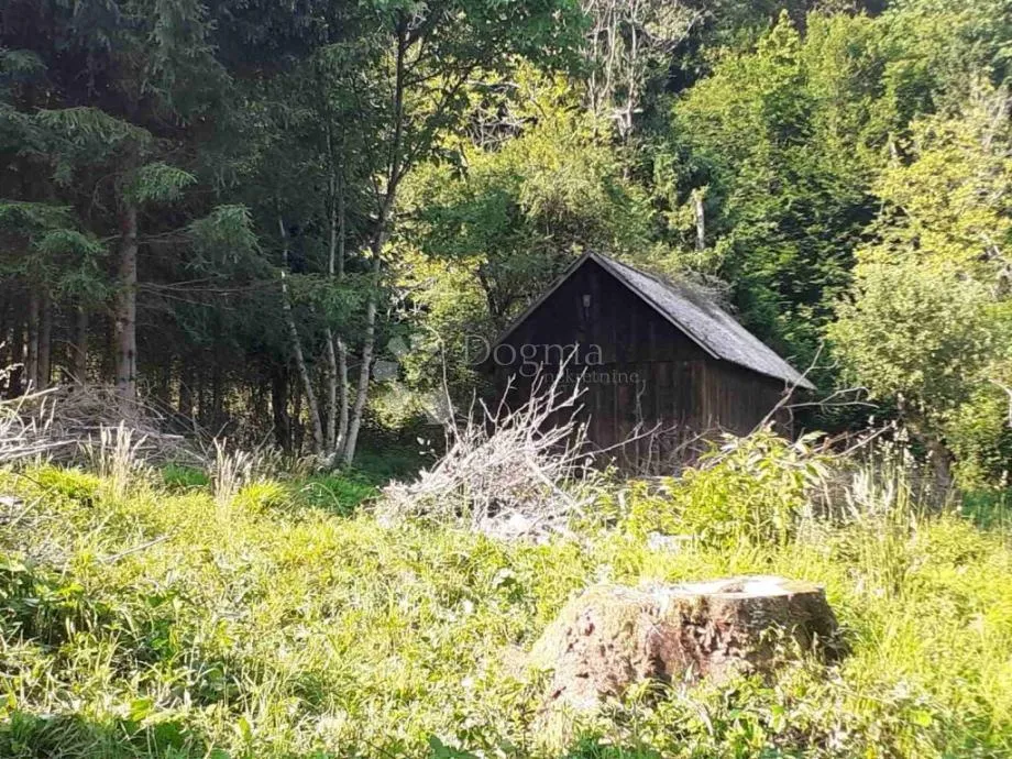 velika kuća pored kupe sa 2385 m2 okućnice - slika 10