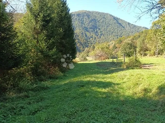 velika kuća pored kupe sa 2385 m2 okućnice - slika 9