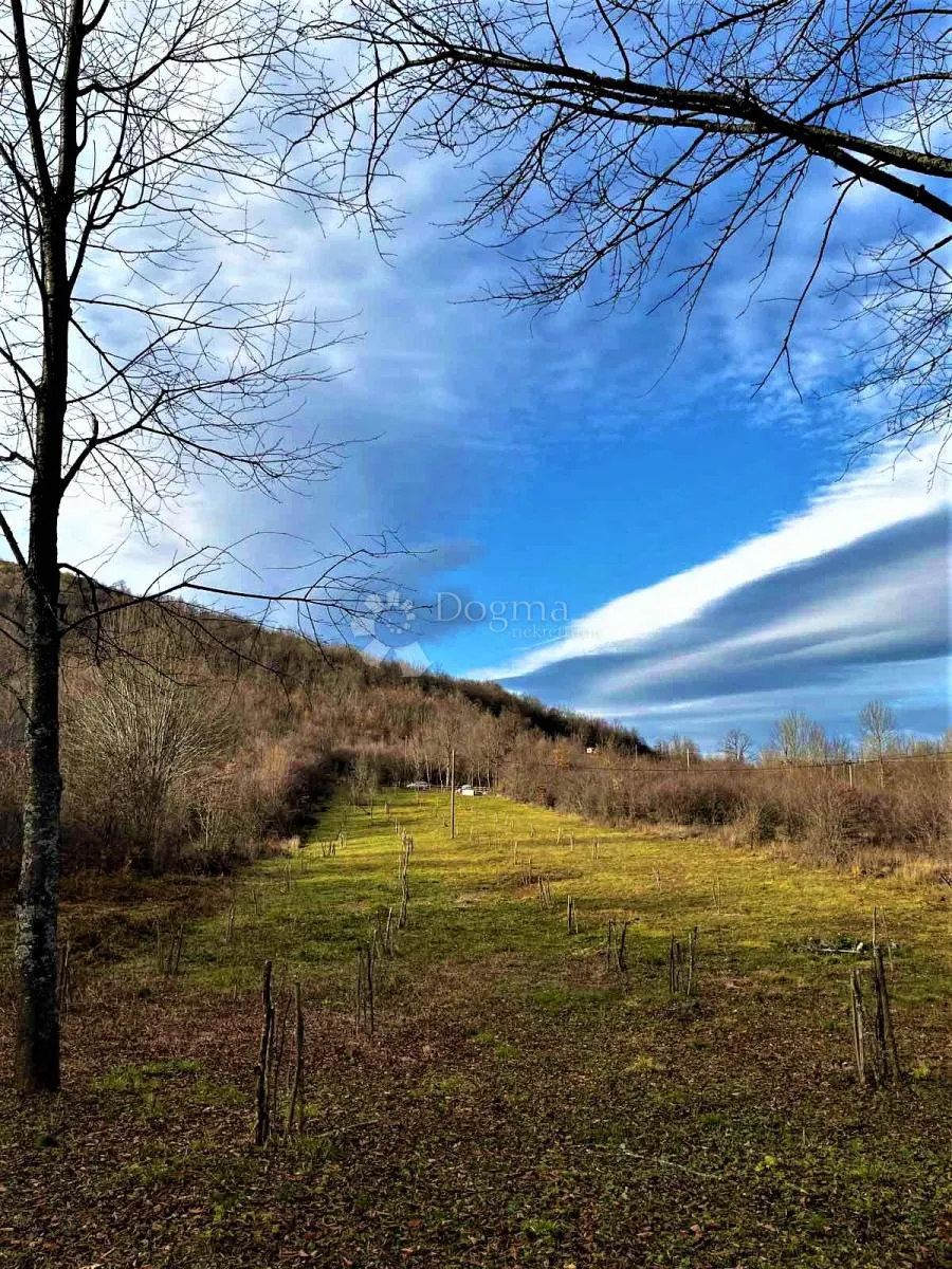 voćnjak iz snova 3.812 m² – boričevac - slika 4