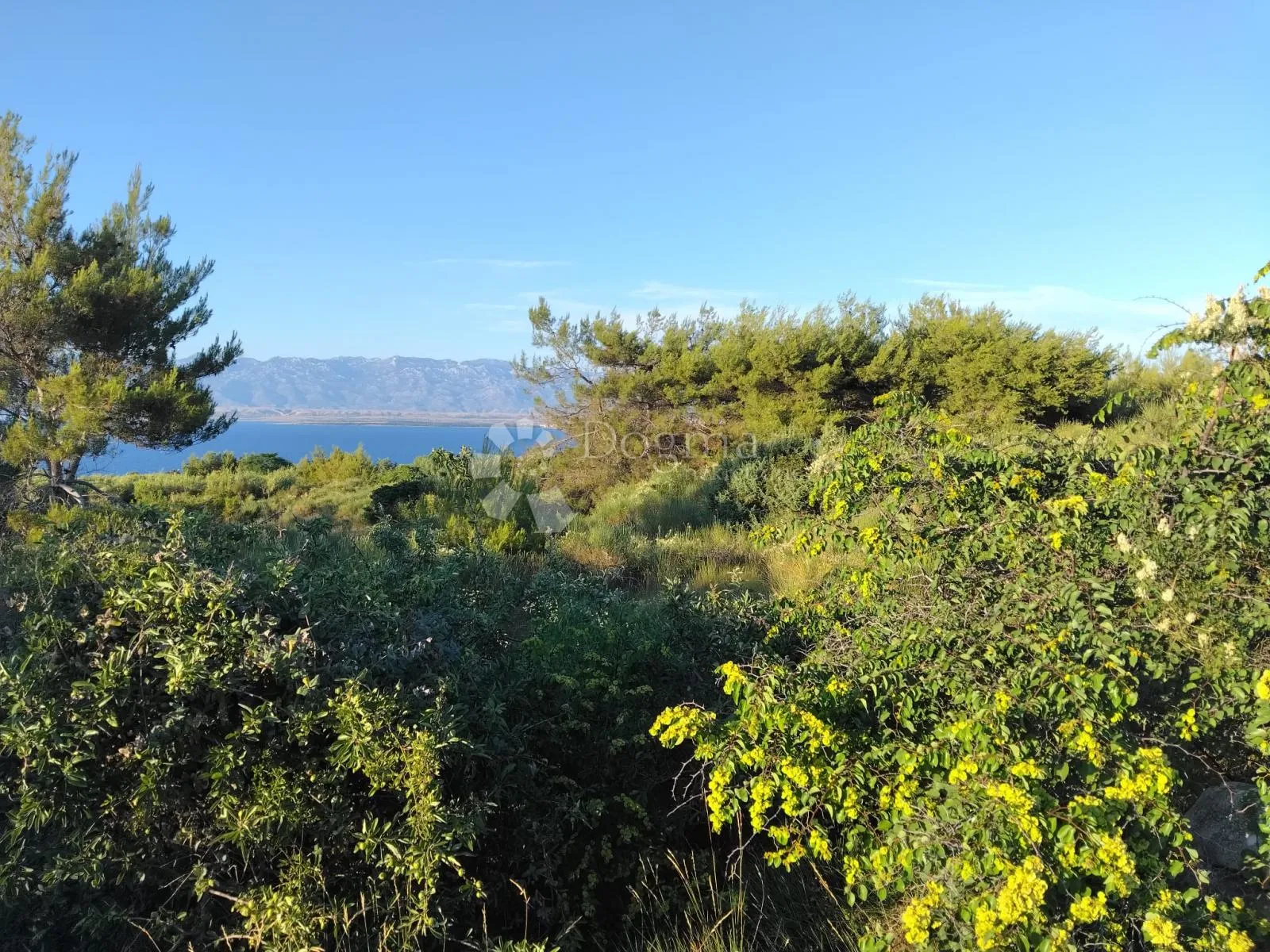poljoprivredno zemljište 1360 m² – otok vir (650 metara od mora) - slika 2