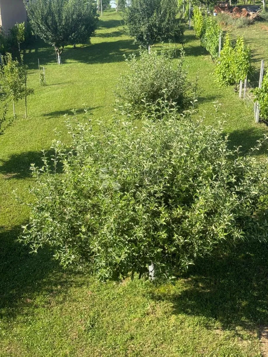 tražena lokacija - slika 28
