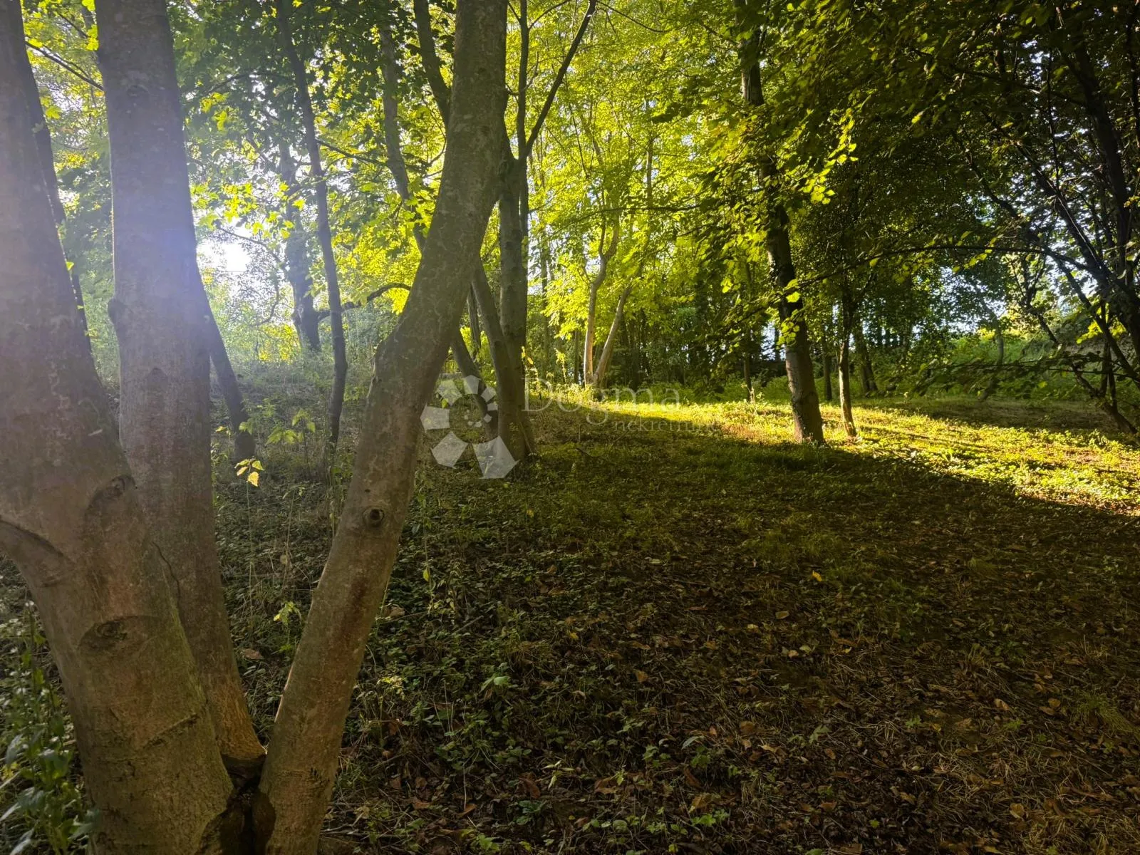 Spremno za gradnju: zemljište 6085 m² s dozvolom i projektom - Grabrovnik, Štrigova