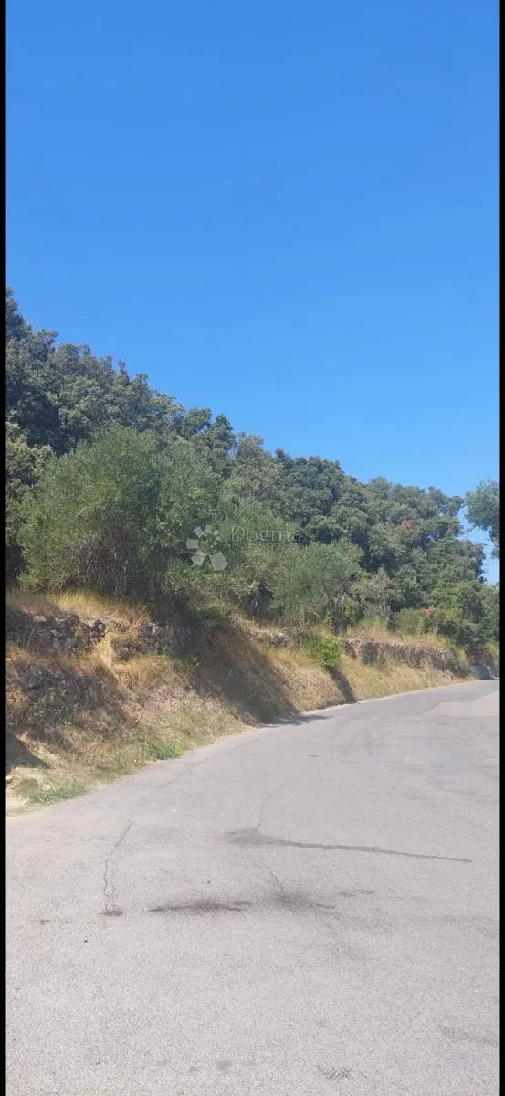 rab 2000m2 - slika 2