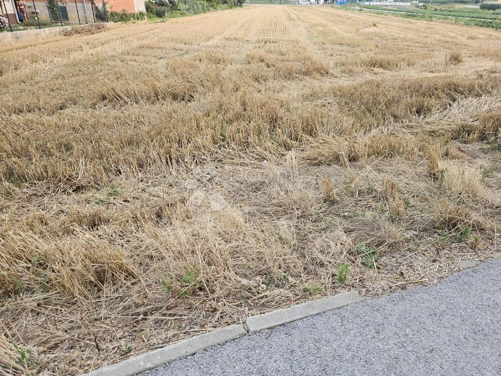 veliko građevinsko zemljiše - slika 5