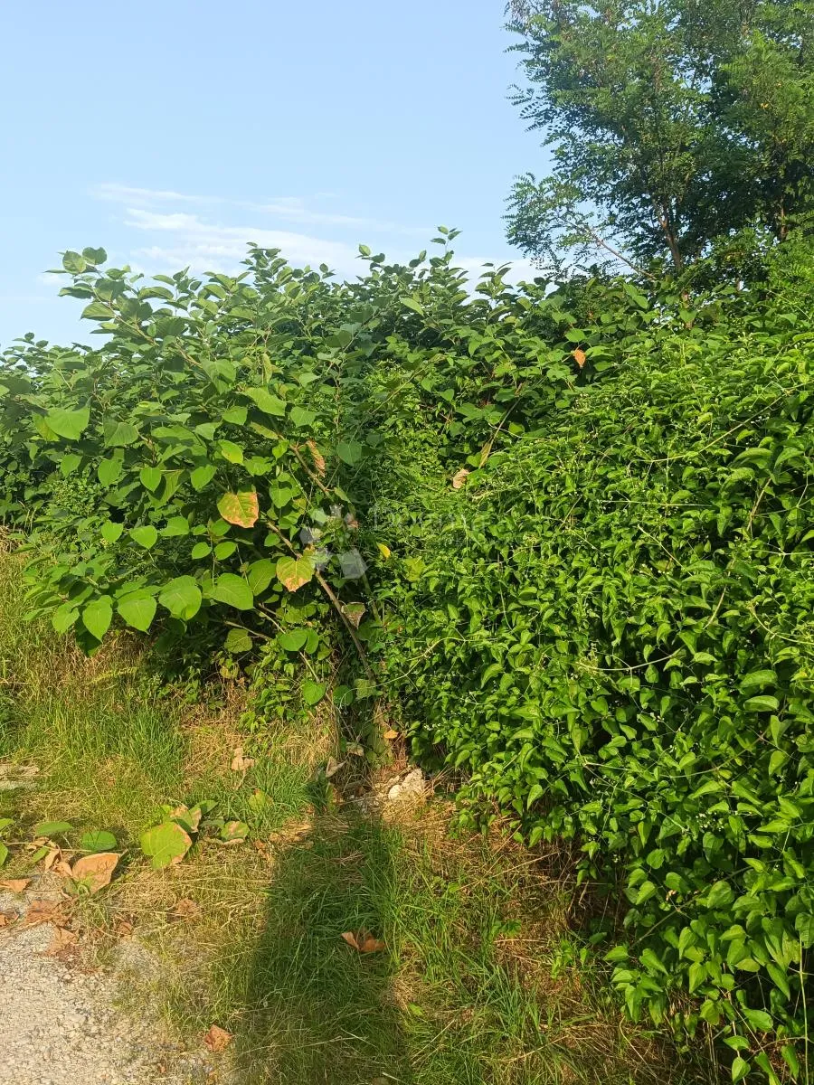 građevinsko zemljište na velikom vrhu - slika 4