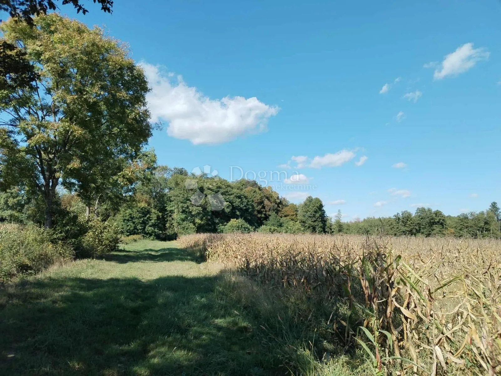 veliko imanje 39.323 m² – mir, priroda i potencijal! - slika 14