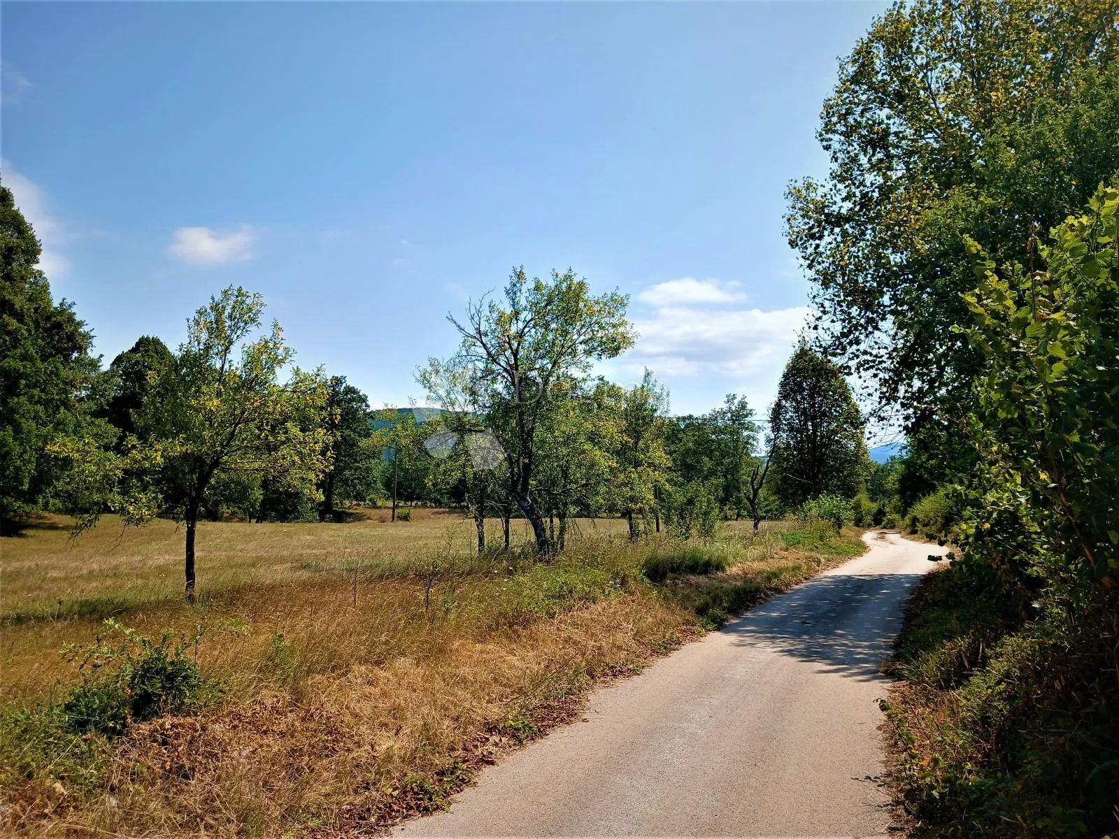 veliko zemljište 72.580 m² u dobroselu – priroda, mir i veliki potencijal - slika 2