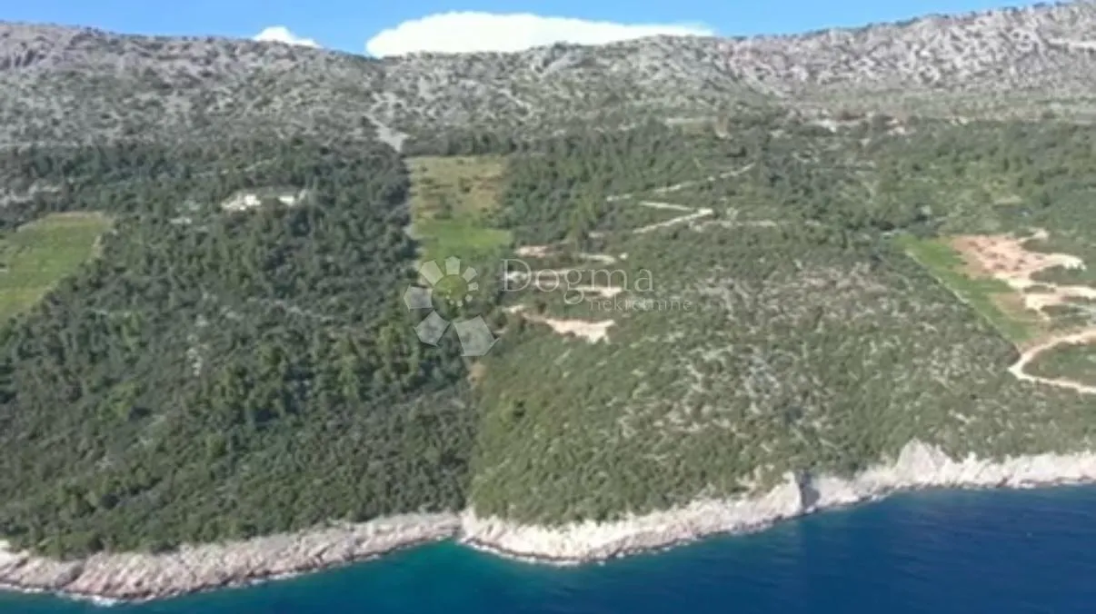 investicijska prilika - opg u rajskim vinogradima - slika 5
