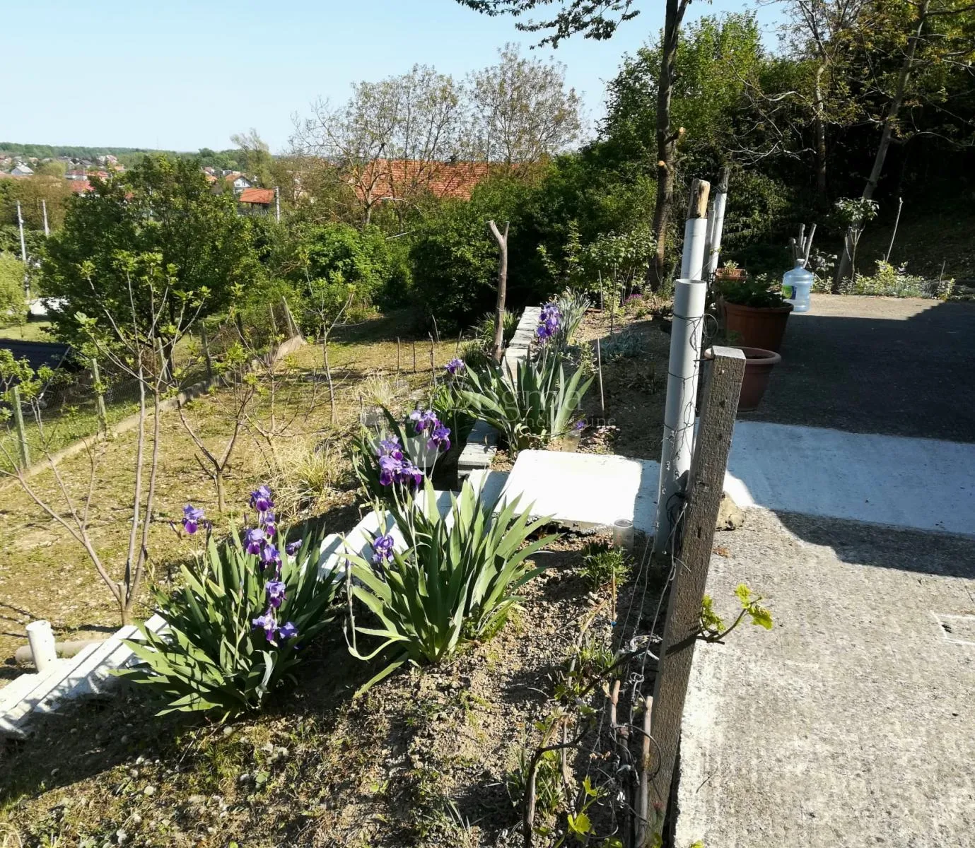 zelena oaza u svetoj nedelji za vikend druženja! prilika! - slika 10