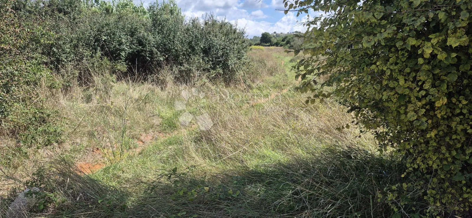 građevinsko zemljište, šikići - 4,5 km od centra pule - slika 4