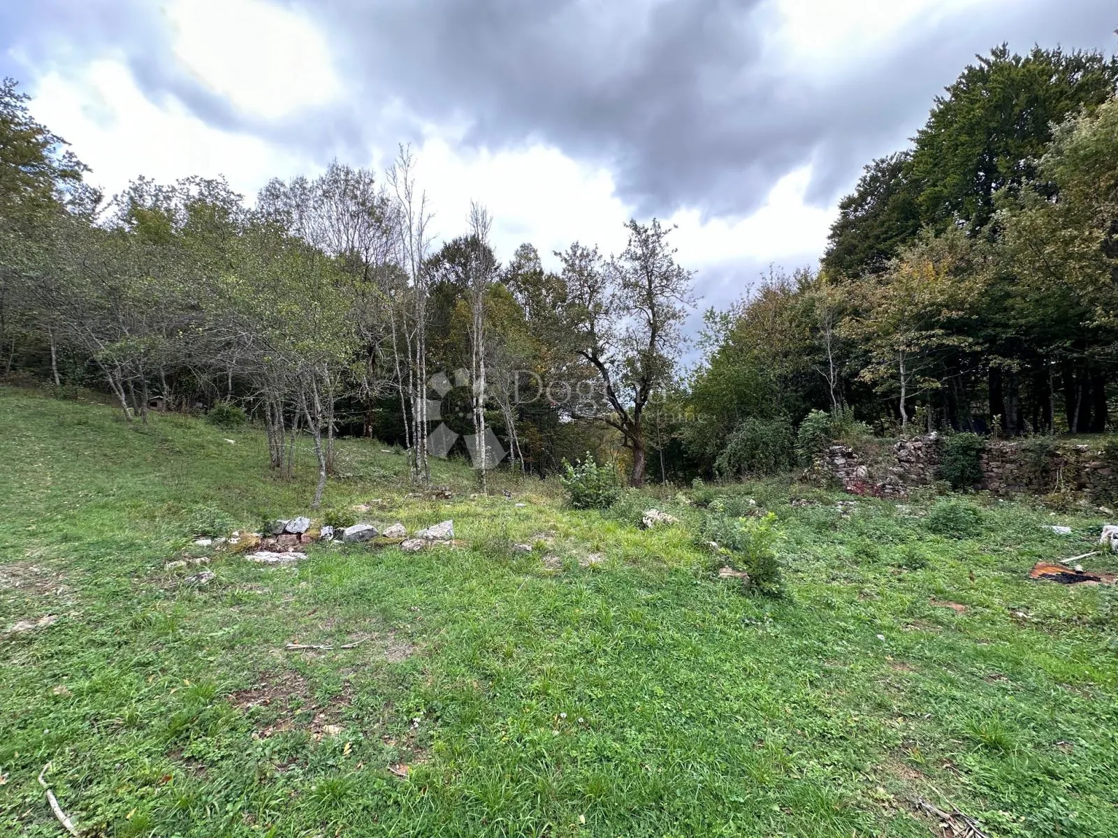 sv rok građevinsko zemljište 50000 m2 - slika 5
