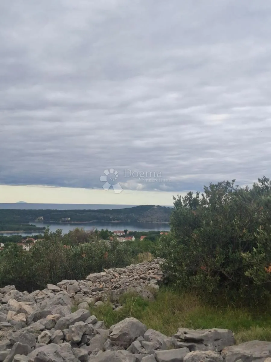 maslinik s pogledom na more milna brač - slika 5
