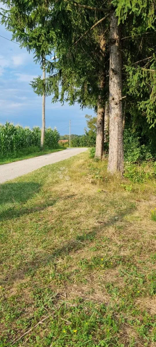 građevinsko zemljište samobor, pavučnjak - slika 2