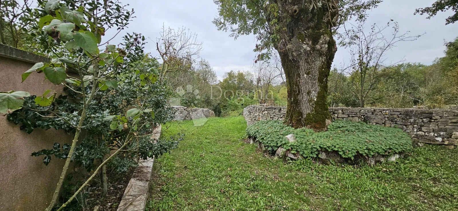 ekskluzivno kuća na osami, okružena šumom - slika 53