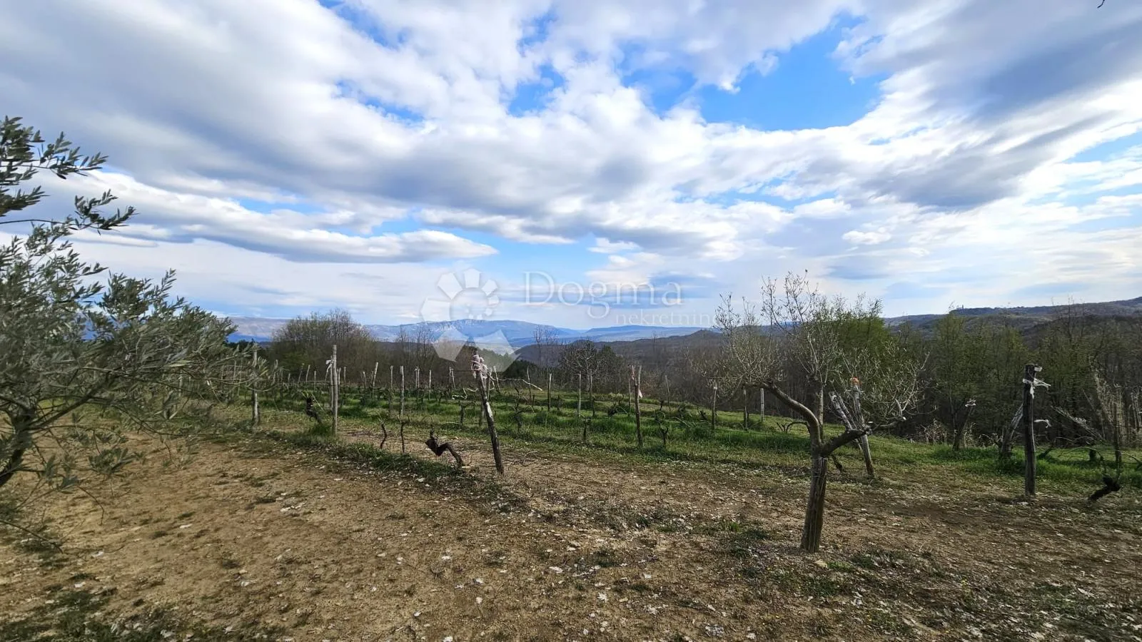 vinograd u oloici pazina - pogled na učku i more - slika 6