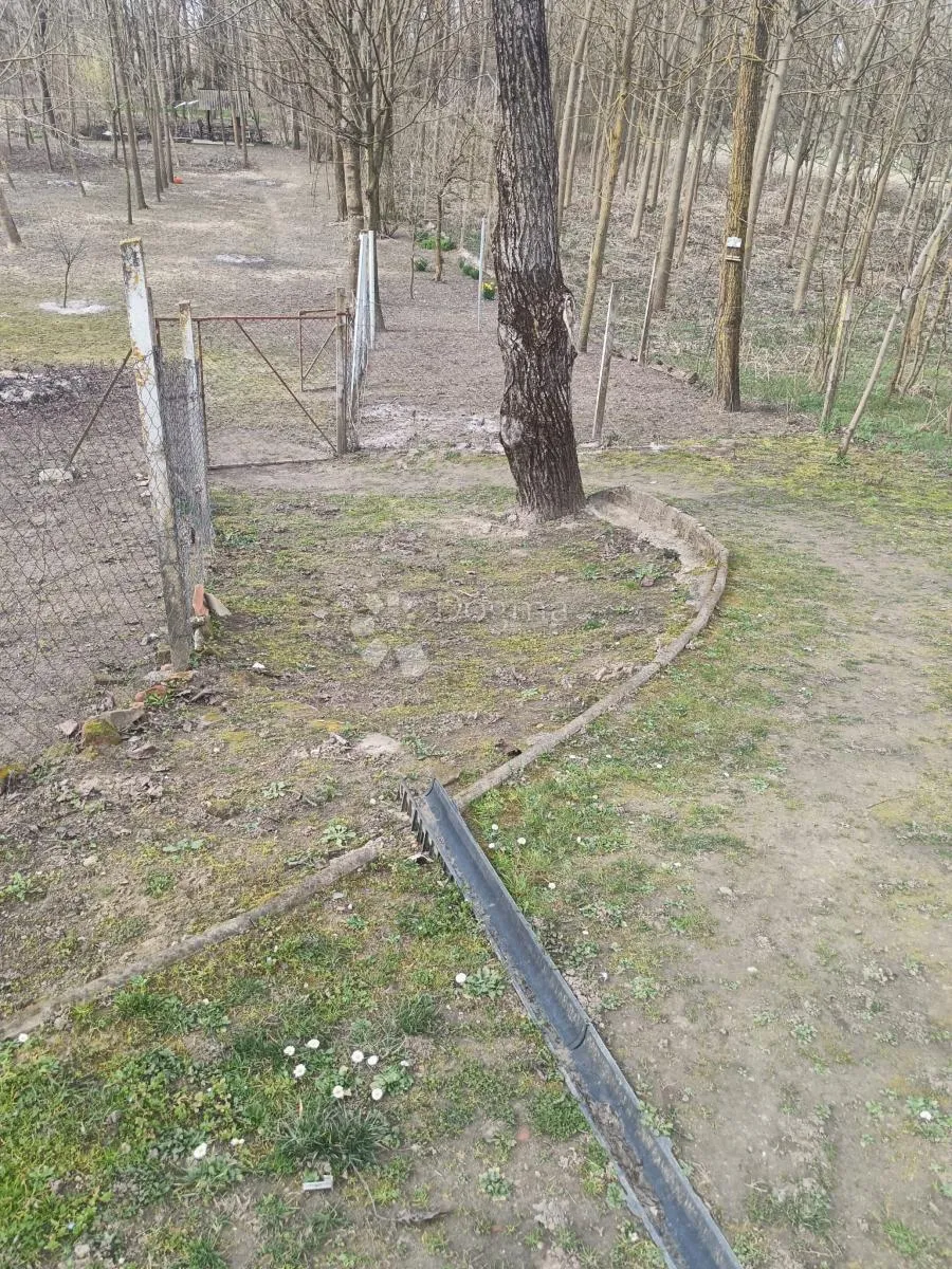 kuća u prirodi s jezerom i velikim imanjem - slika 8