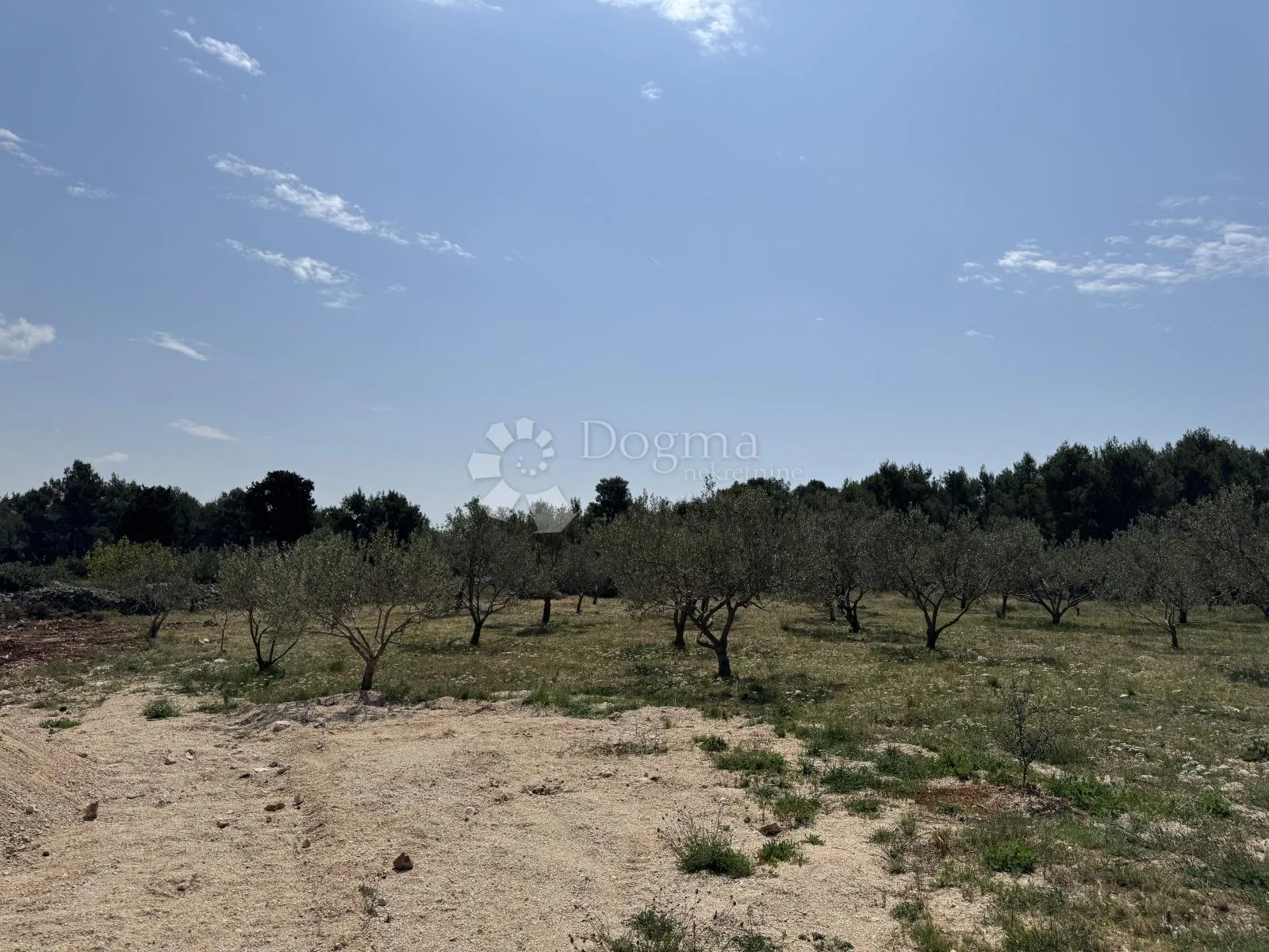 ražine-građevinsko zemljište 1620m2 - slika 4