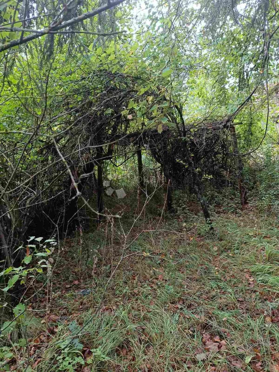 poljoprivredno / građevinsko zemljište 165 000 m2 - slika 2