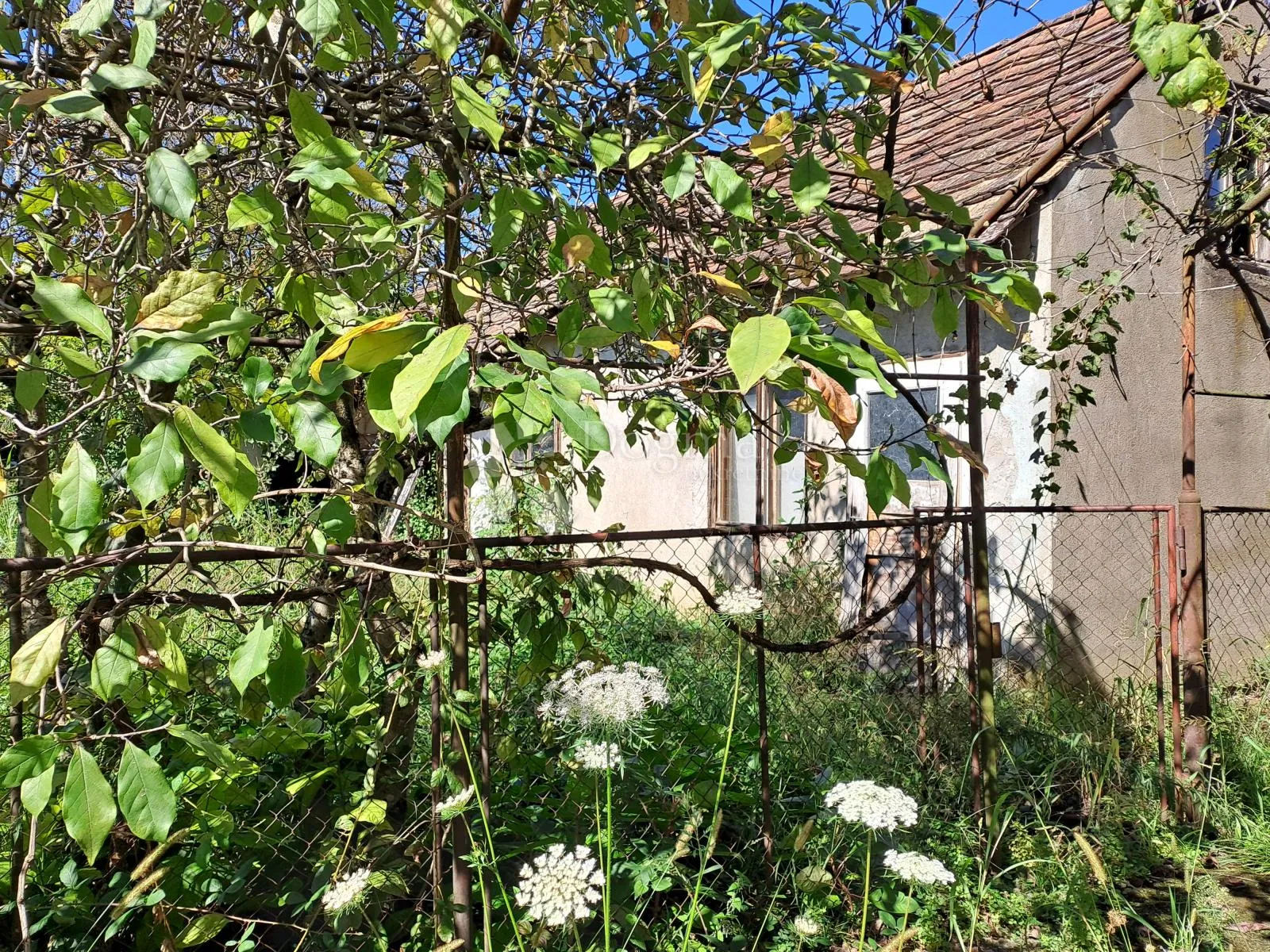 sisak - uredna dokumentacija, za adaptaciju, odlična lokacija - slika 17