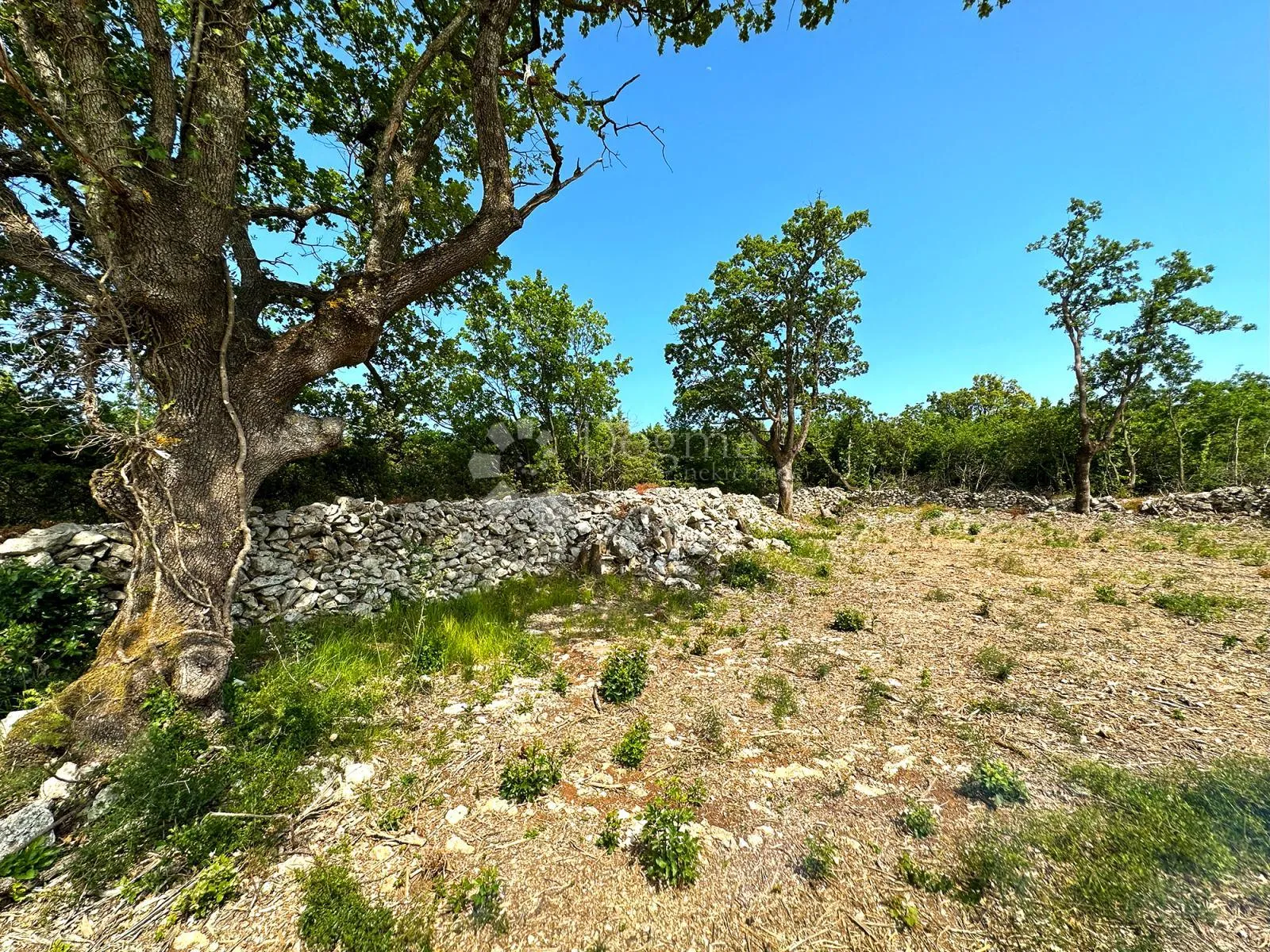 atraktivno građevinsko zemljište, pogled more 8.600m2 ! - slika 2