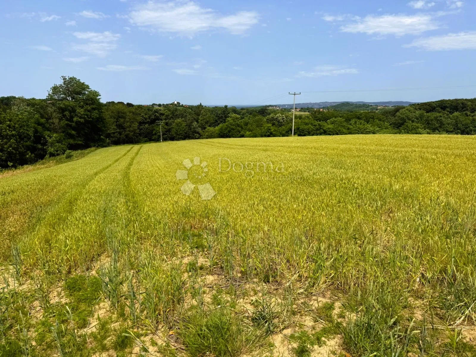 investicijska prilika: 9694 m² zemljišta i kuća u izgradnji - slika 5