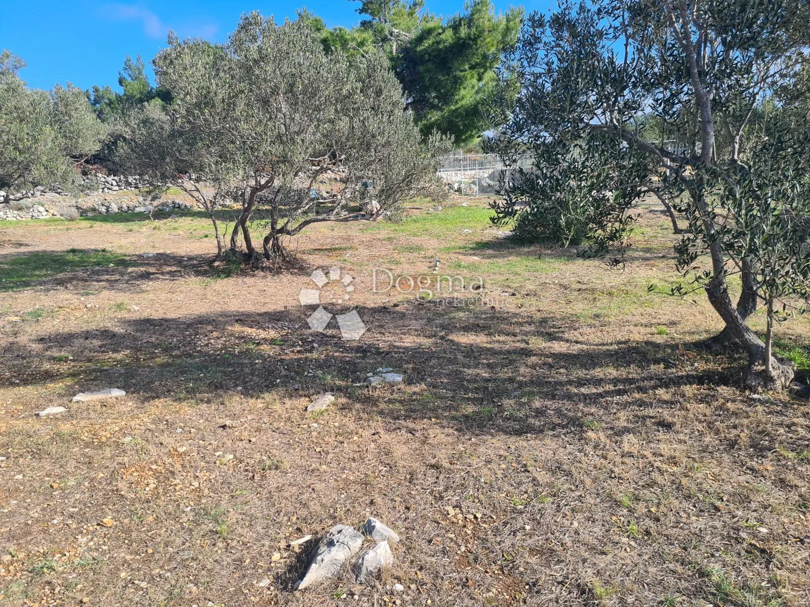 prosika - pirovac, atraktivno zemljište - slika 2