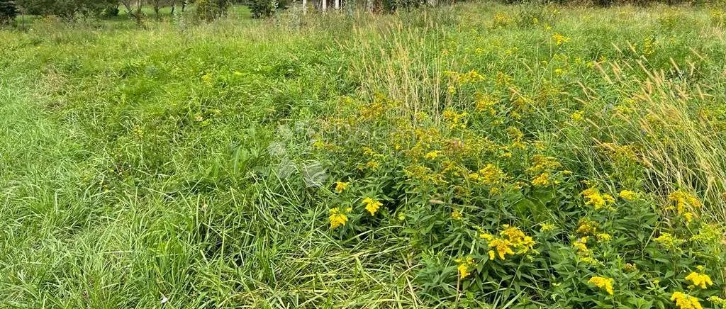 ekskluzivno građevinsko zemljište – gornja stubica, blizu zagreba - slika 4