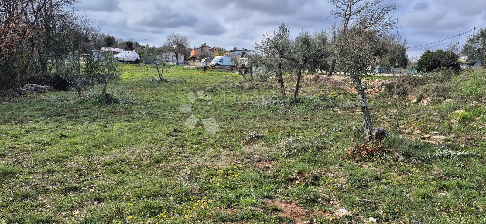 građevinsko zemljište na samo 1,5 km od mora sa 6 stoljetnih maslinama - slika 9