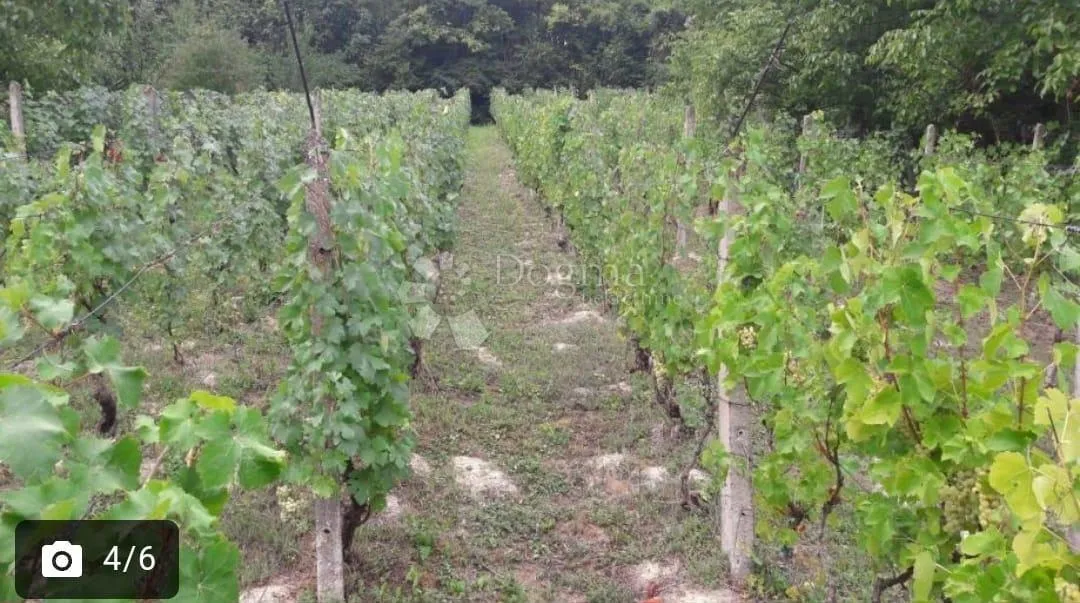 sesvete, građ. zemljište 1800m2, postojeći objekt 30 m2 - slika 5