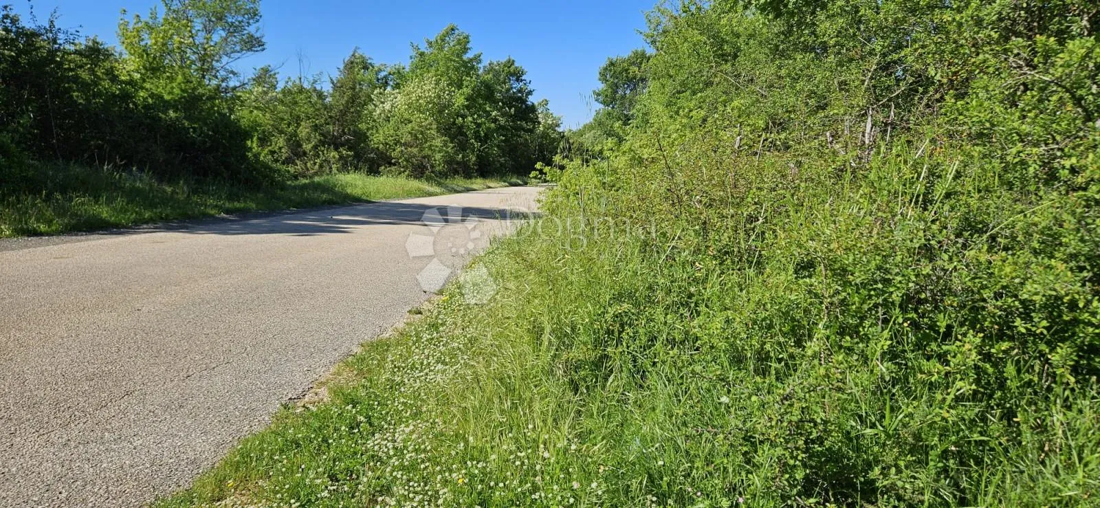 poljoprivredno zemljište nedaleko od centra svetvinčenta - slika 3
