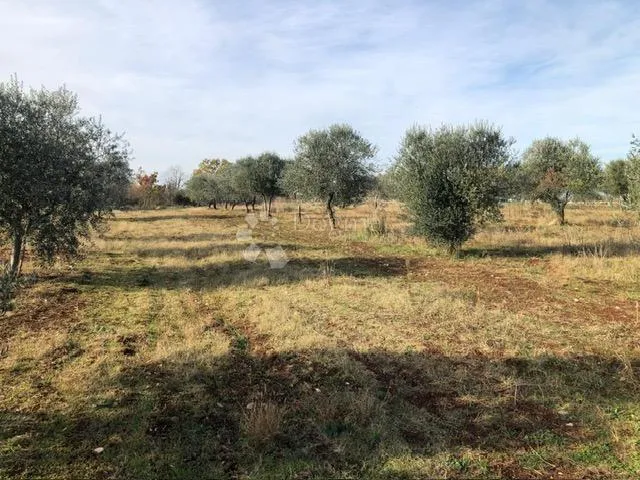 atraktivno zemljište u umagu - slika 4