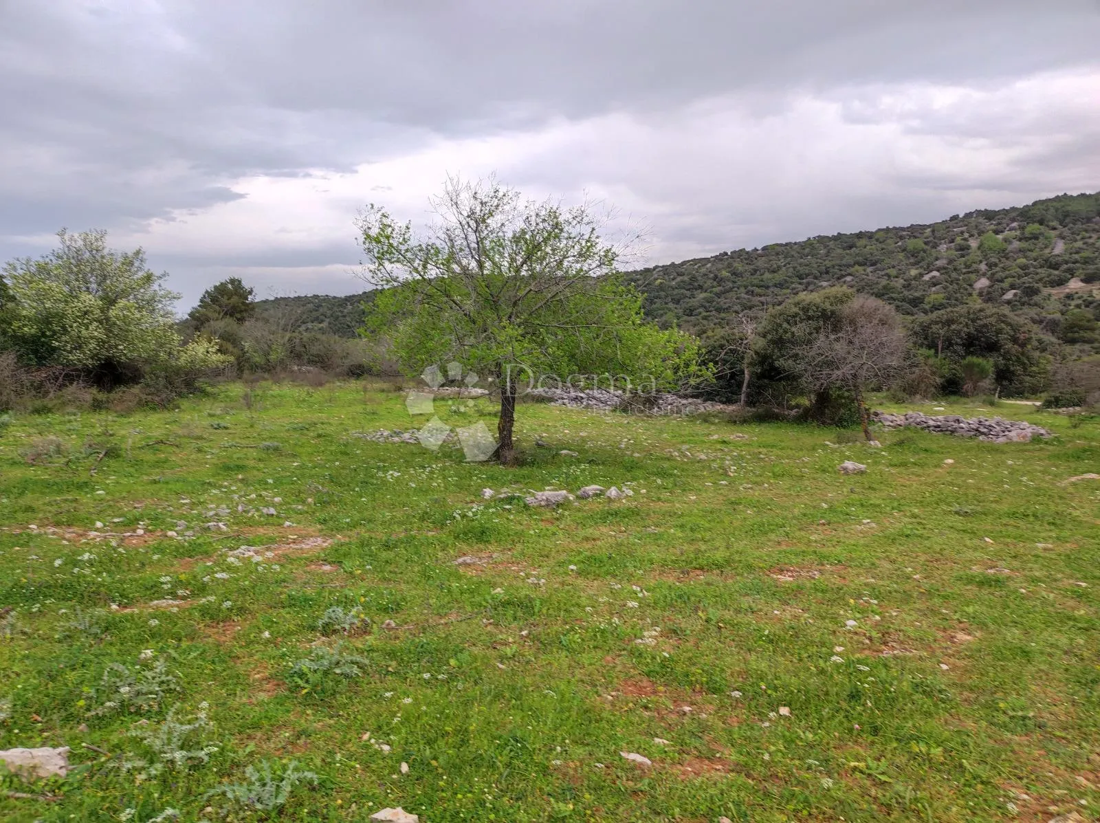 brač, selca – poljoprivredno zemljište 11.274 m² - slika 5