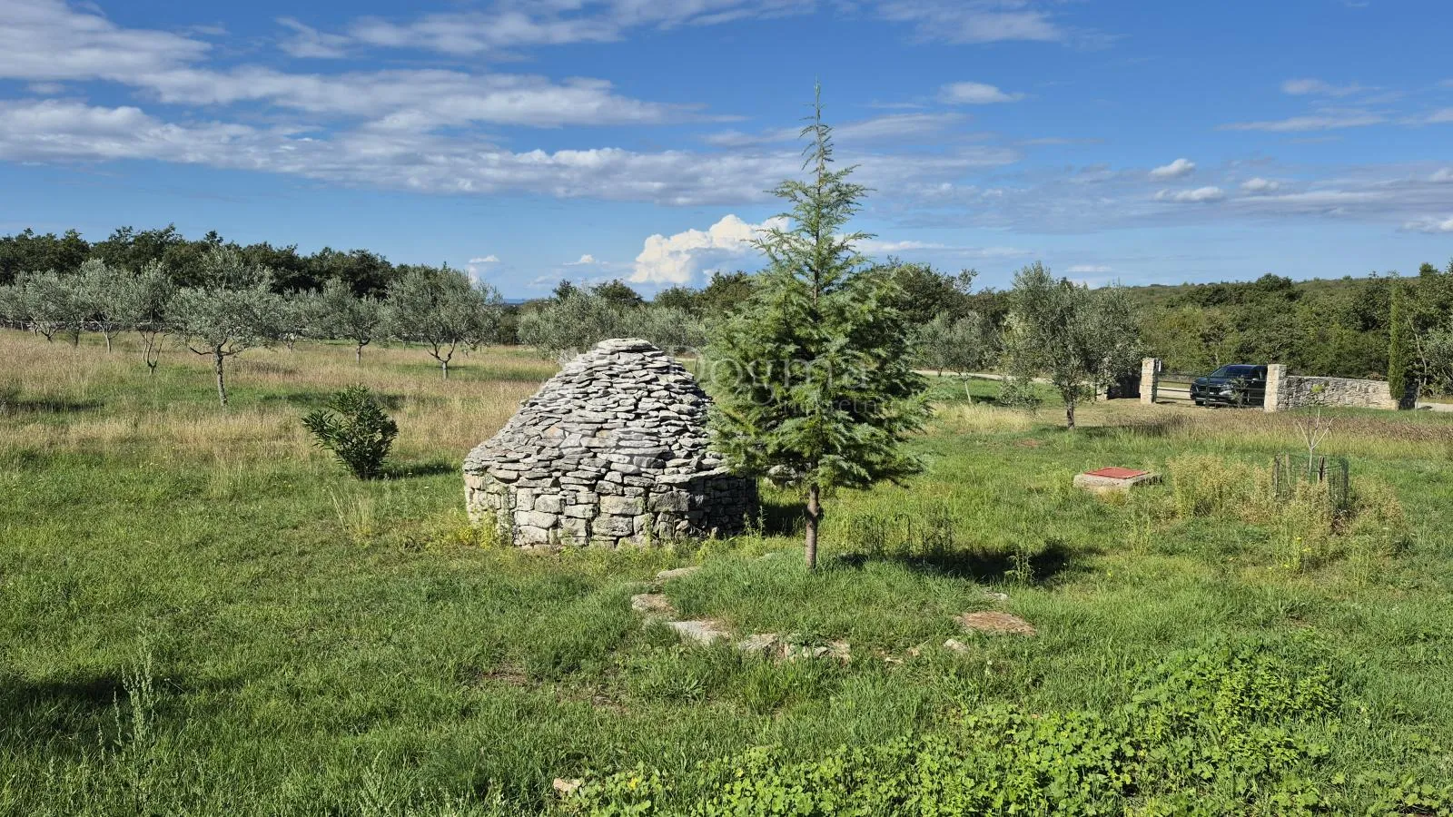 poljoprivredno zemljište sa istarskim kažunom i maslinama 13979 m2 - slika 19