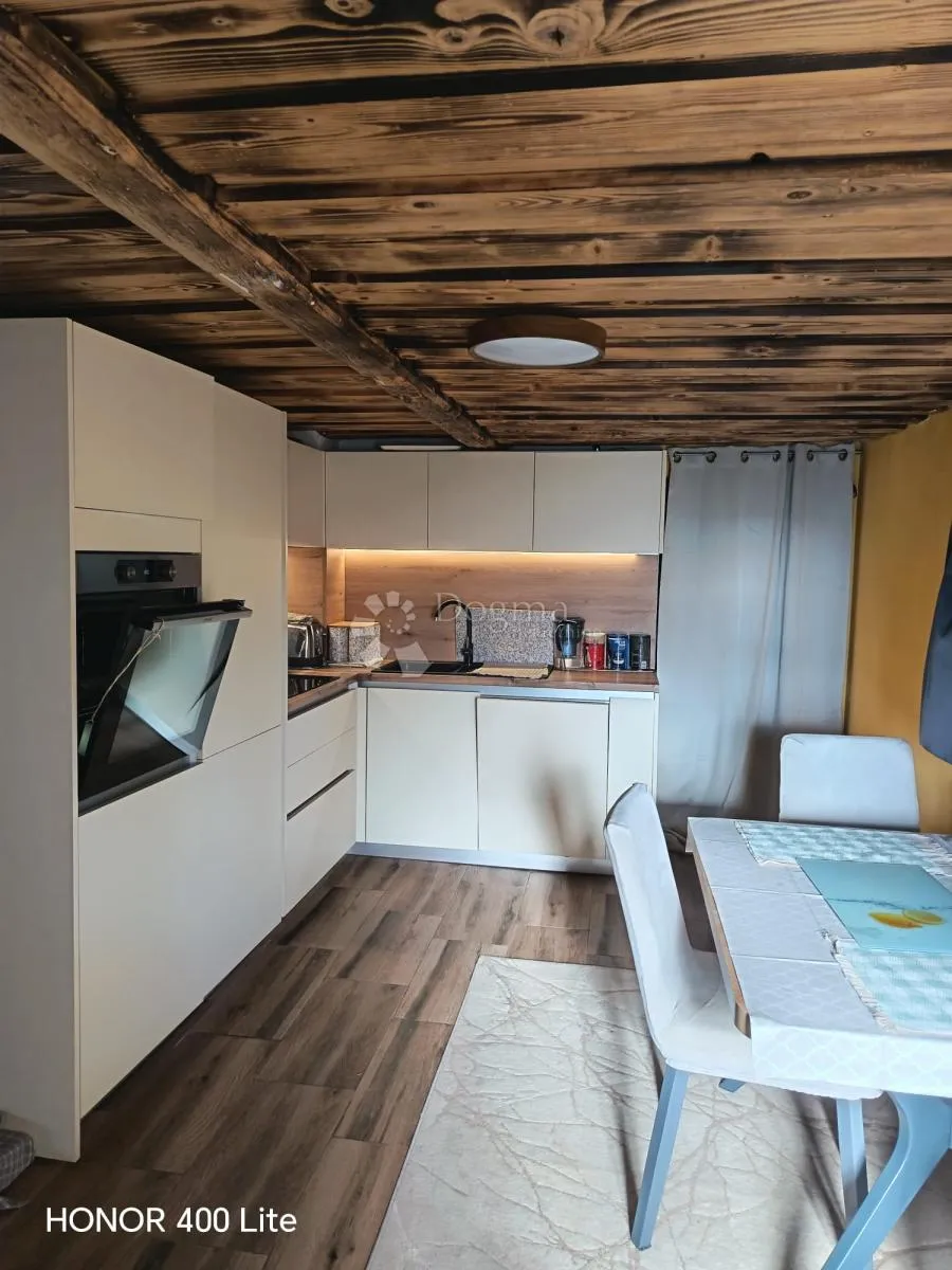 kuća i pomoćni objekt i 2747 m2 parcela - slika 4