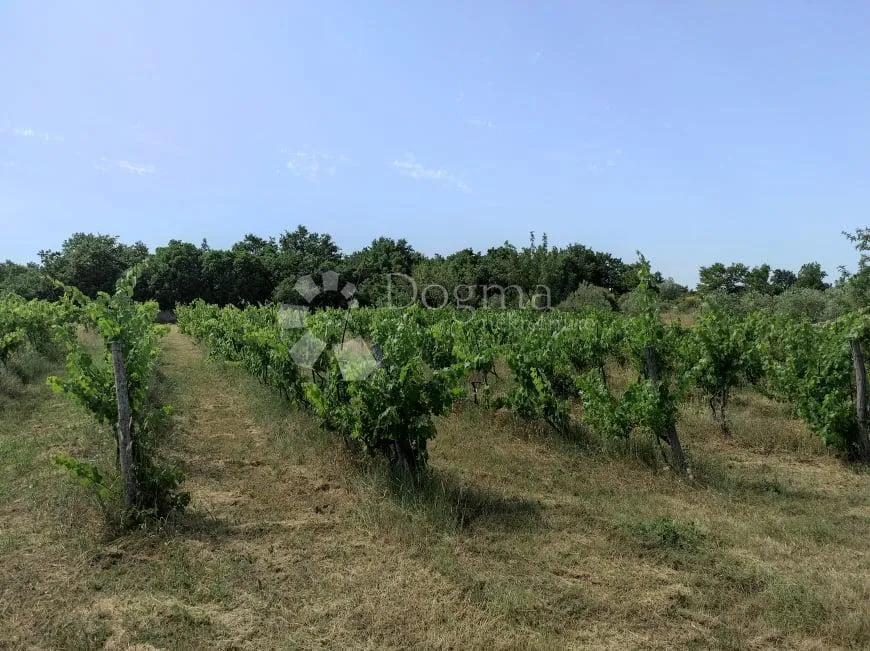 prekrasna stancija u okolici pule, s 10000 m² urbaniziranog zemljišta - slika 35