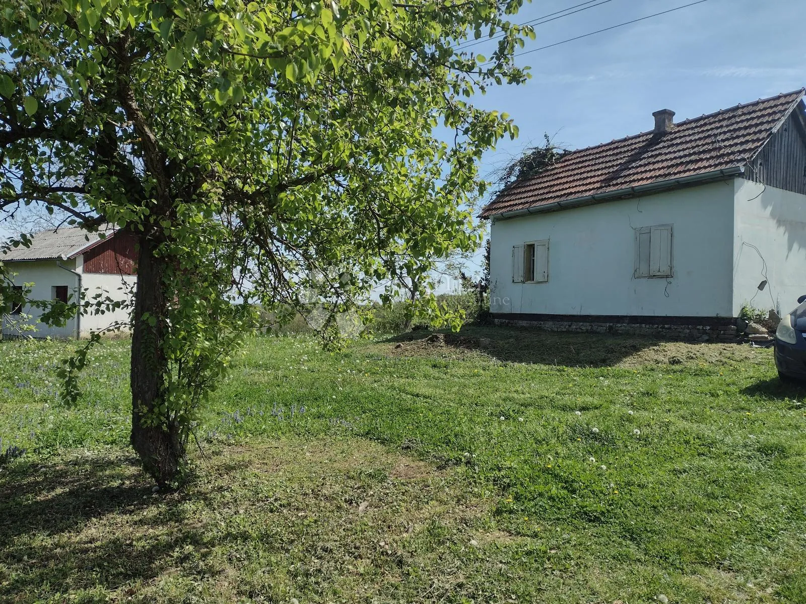 klet u vikend naselju, voćnjak - slika 3