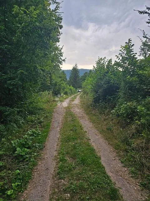 vrbovsko, predivni tereni u šumskoj oazi - slika 3
