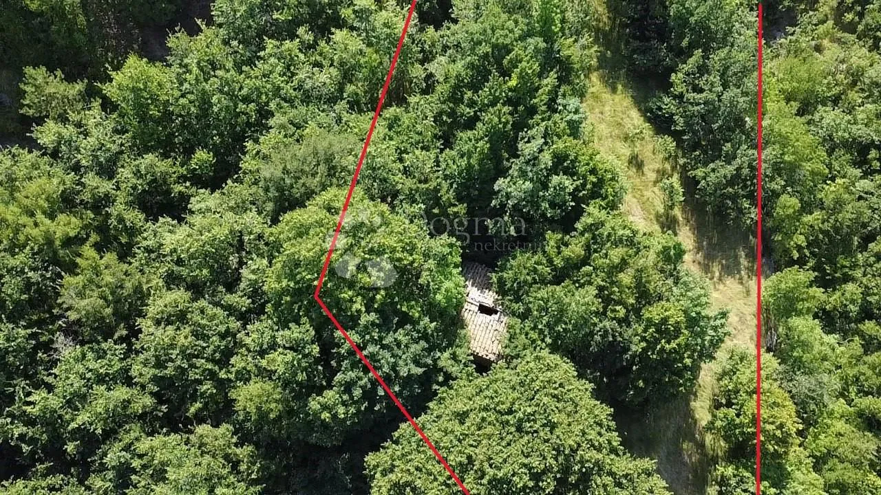starina sa potencijalom za odličan prihod - slika 19