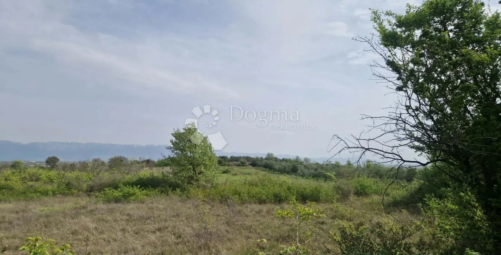 smoković - poljoprivredno zemljište 6031 m2 - prodaja - slika 13