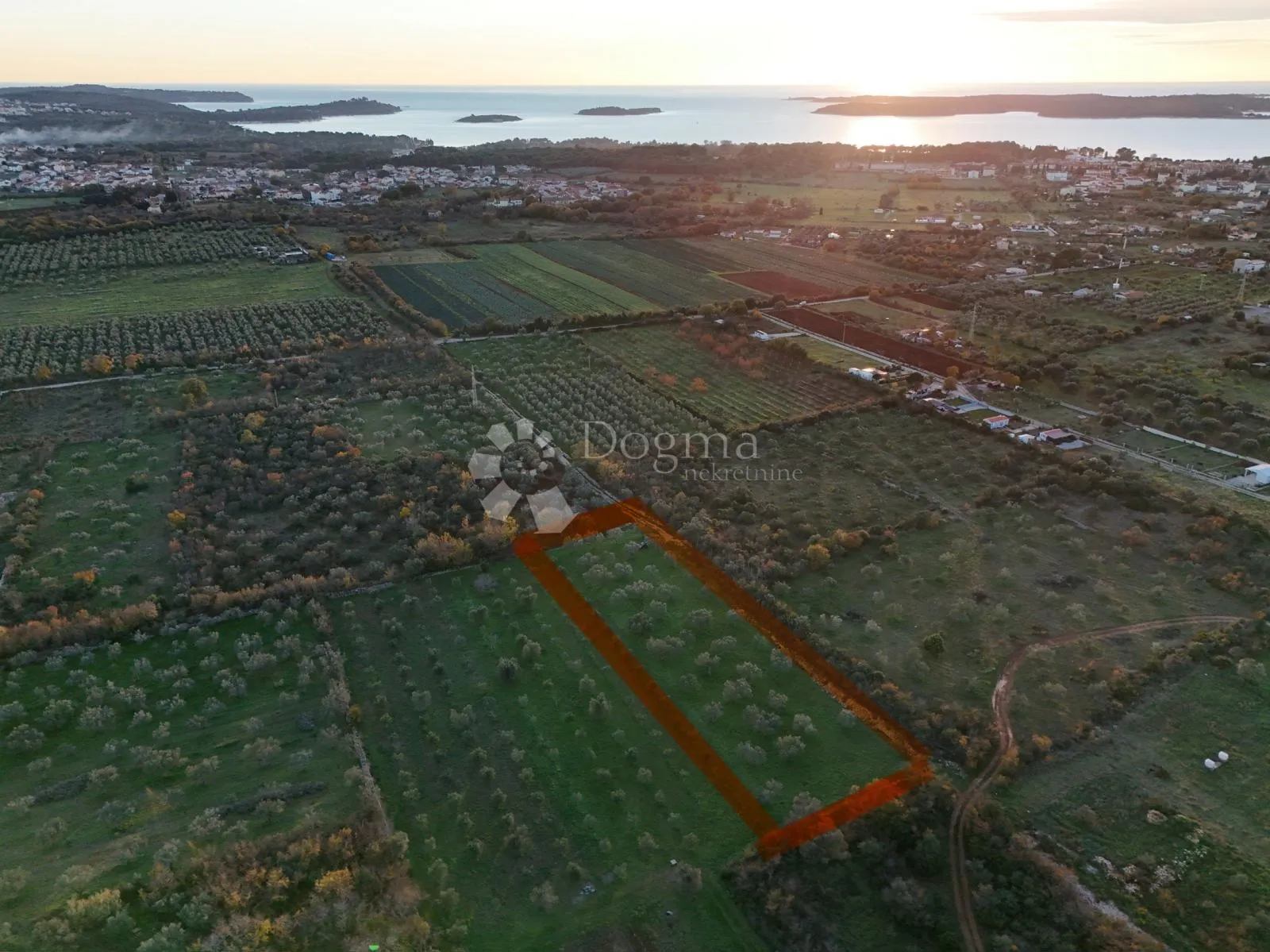 Poljoprivredno zemljište s maslinikom u Fažani, 800 m od mora - Fažana